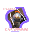りさりさ'sぺっと2（個別スタンプ：5）