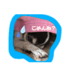りさりさ'sぺっと2（個別スタンプ：6）