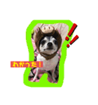りさりさ'sぺっと2（個別スタンプ：8）