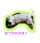 りさりさ'sぺっと2（個別スタンプ：13）