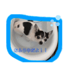 りさりさ'sぺっと2（個別スタンプ：14）