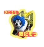 りさりさ'sぺっと2（個別スタンプ：20）