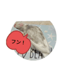 文鳥のむぎちゃんですよぉ〜！2（個別スタンプ：14）