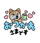 毎日柴ちゃん‼︎（個別スタンプ：11）