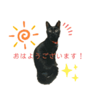 困った時の猫頼み！Aya（個別スタンプ：5）