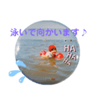 困った時の猫頼み！Aya（個別スタンプ：11）