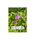 お花畑 ★シンプルなコトバ★（個別スタンプ：10）