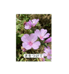 お花畑 ★シンプルなコトバ★（個別スタンプ：11）