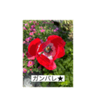 お花畑 ★シンプルなコトバ★（個別スタンプ：19）