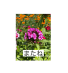 お花畑 ★シンプルなコトバ★（個別スタンプ：21）
