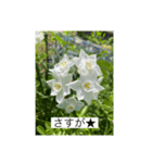 お花畑 ★シンプルなコトバ★（個別スタンプ：23）