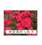 お花畑 ★シンプルなコトバ★（個別スタンプ：28）