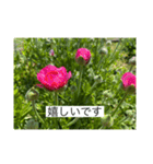 お花畑 ★シンプルなコトバ★（個別スタンプ：40）