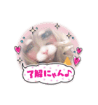 めろスタ○2.‎˖٭*（個別スタンプ：1）