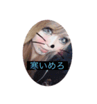 めろスタ○2.‎˖٭*（個別スタンプ：11）