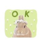 もぐとエマのシンプルすたんぷ（個別スタンプ：2）