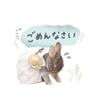 もぐとエマのシンプルすたんぷ（個別スタンプ：3）