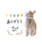 もぐとエマのシンプルすたんぷ（個別スタンプ：4）