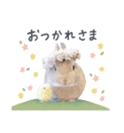 もぐとエマのシンプルすたんぷ（個別スタンプ：6）
