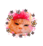 milk.y（個別スタンプ：1）