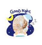 milk.y（個別スタンプ：2）