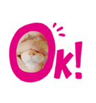 milk.y（個別スタンプ：3）