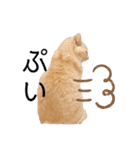 milk.y（個別スタンプ：5）