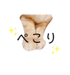 milk.y（個別スタンプ：8）