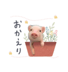 犬と豚の暮らし（個別スタンプ：4）