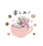 犬と豚の暮らし（個別スタンプ：6）