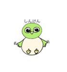 いろいろ鳥達スタンプ（個別スタンプ：6）