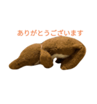 猫のキューちゃんスタンプ（個別スタンプ：7）