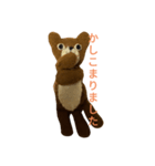 猫のキューちゃんスタンプ（個別スタンプ：8）