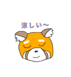 ギザ耳レッサーパンダくん（個別スタンプ：24）