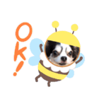 inusukin2（個別スタンプ：2）