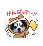 inusukin2（個別スタンプ：12）