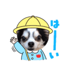 inusukin2（個別スタンプ：13）