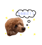 Cherie's stamps（個別スタンプ：6）