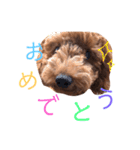 Cherie's stamps（個別スタンプ：14）
