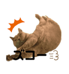 ルパンの気持ち3（個別スタンプ：1）