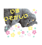 ルパンの気持ち3（個別スタンプ：8）