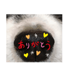 ソラだけの日常（個別スタンプ：1）