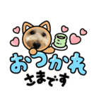ふく君ですけど...（個別スタンプ：3）