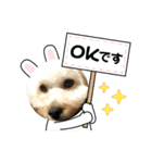 ふく君ですけど...（個別スタンプ：8）
