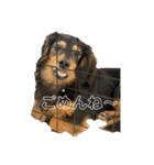 カニヘンダックスのラッキーちゃん（個別スタンプ：8）