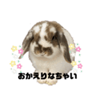 うさぎの“ももちゃん”女の子3（個別スタンプ：14）