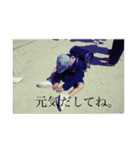 おへんじおへんじ3（個別スタンプ：12）