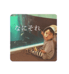 おへんじおへんじ3（個別スタンプ：31）