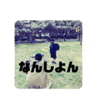 おへんじおへんじ3（個別スタンプ：34）