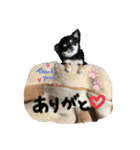 Kyunstanp（個別スタンプ：1）